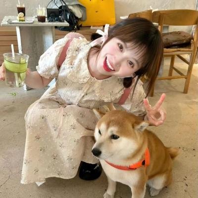 七品芝麻官