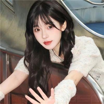 掌门女婿